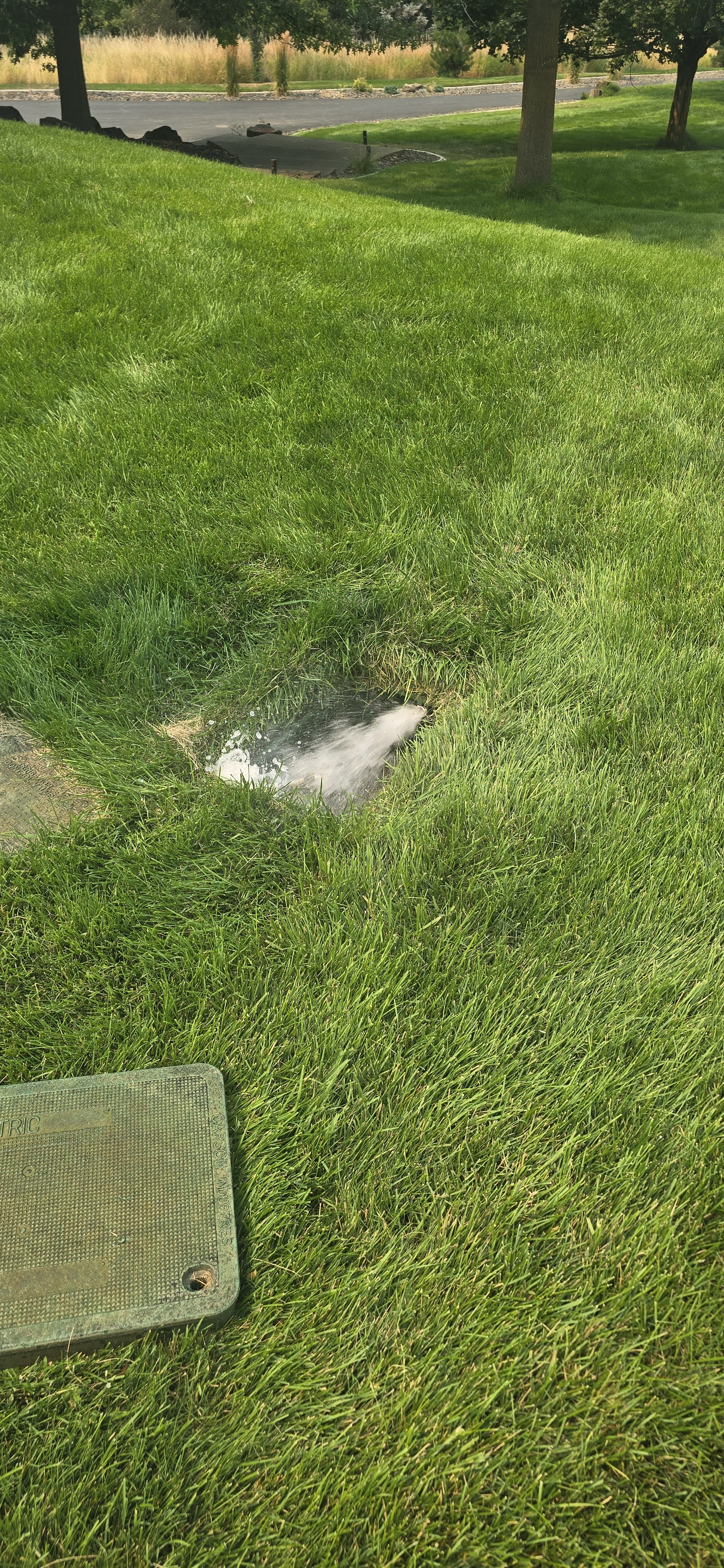 Active underground sprinkler leak being diagnosed in a Coeur d'Alene lawn